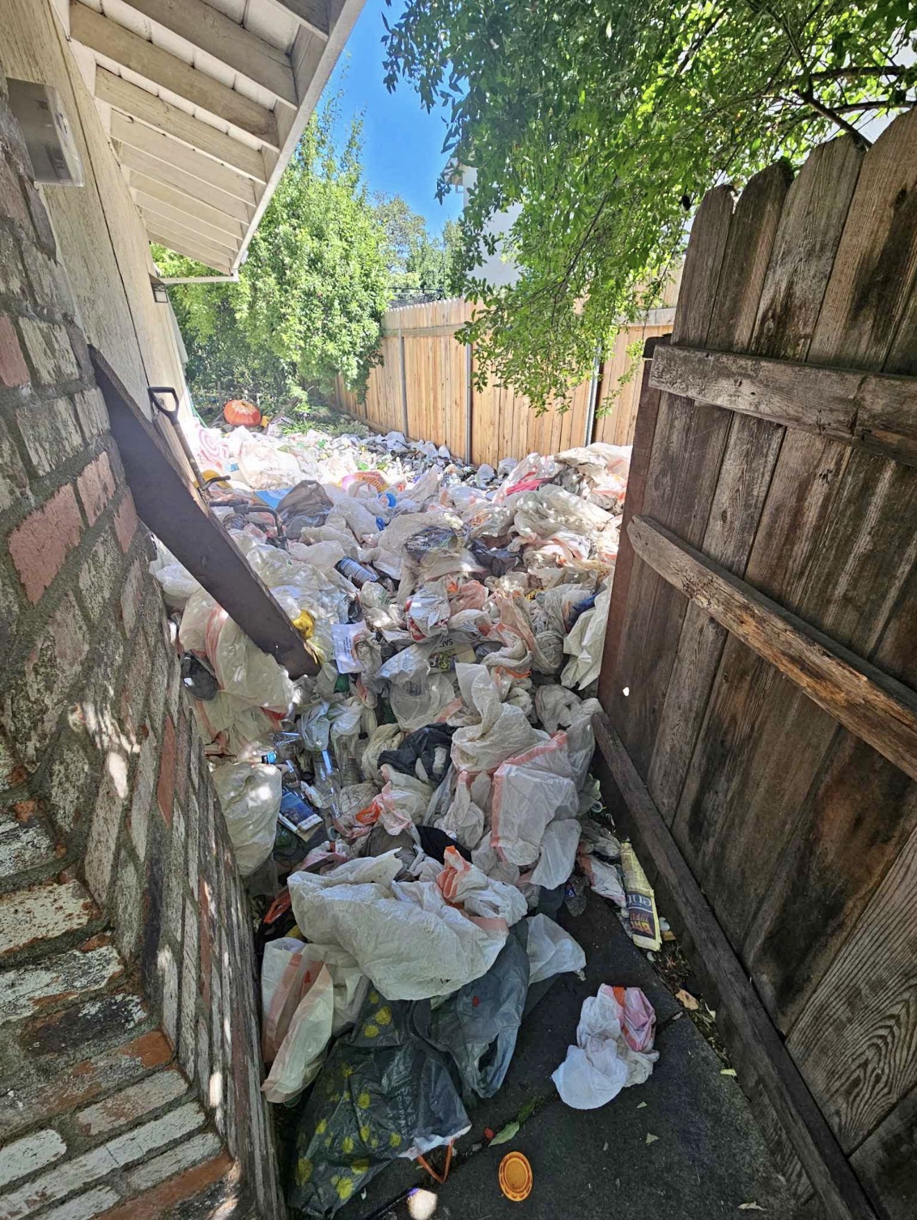 Yard cleanout before